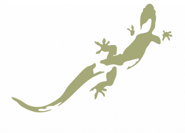 Логотип компании tacobar