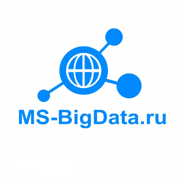 Логотип компании MS-BIGDATA