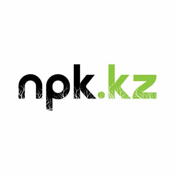 Логотип компании npk.kz