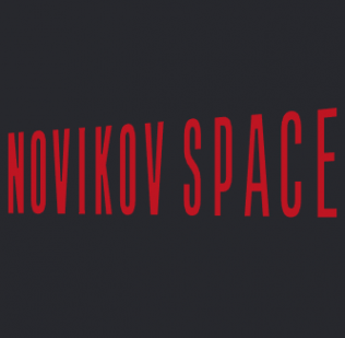Логотип компании Novikov School