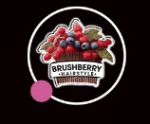 Логотип компании BrushBerry