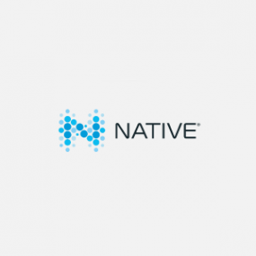 Логотип компании NATIVE