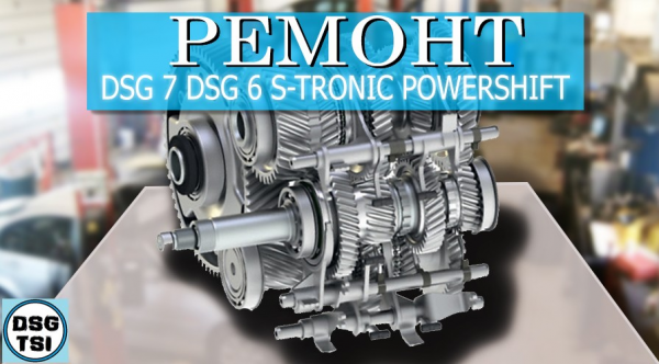 Логотип компании DSG-TSI Логотип компании DSG-TSI