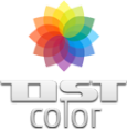Логотип компании ДСТ-КОЛОР