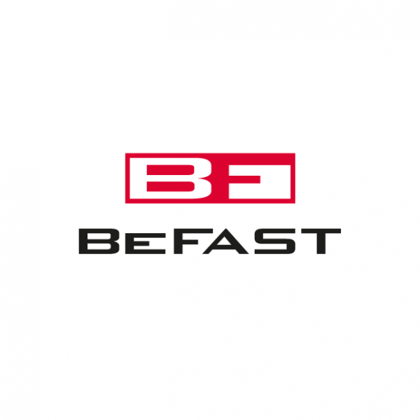 Логотип компании БИФАСТ