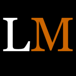 Логотип компании Level MAX