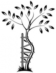 Логотип компании Клиника лечения сколиоза