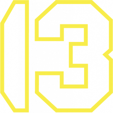 Логотип компании 13 by Black Star
