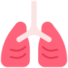 Лечение заболеваний дыхательных путей